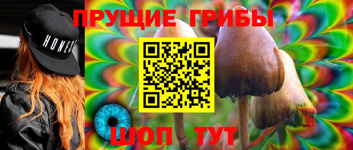 Галлюциногенные грибы Psilocybine cubensis Алейск