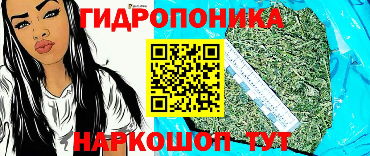 Конопля марихуана Алейск
